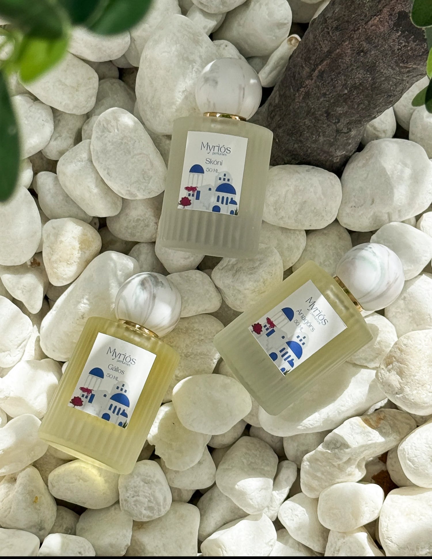 Perfumes